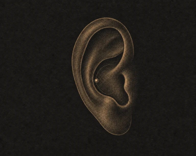 Conch Piercing Rehberi: Inner ve Outer Conch, İyileşme ve Takı Seçimi