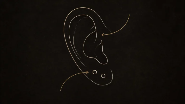 Lobe Piercing Rehberi: Yerleşim, İlk Takı ve Çoklu Lobe Planı