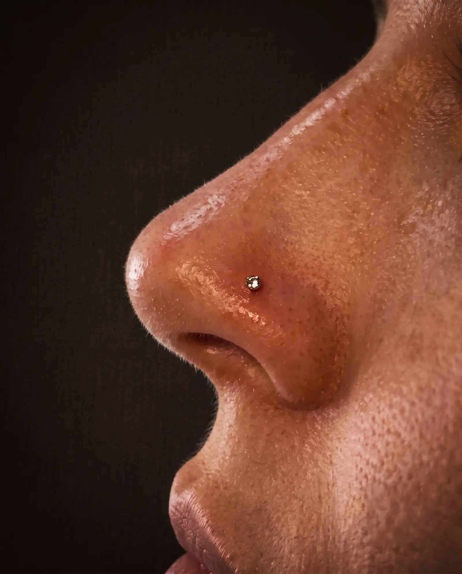 Nostril piercing stüdyo çalışması 1, burun kanadı