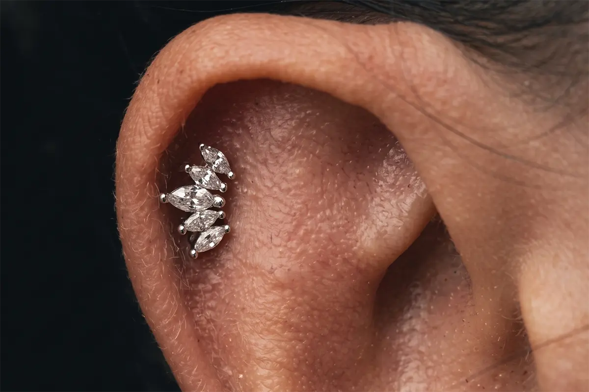 Helix piercing üst kulak kıkırdağında takı yerleşim örneği